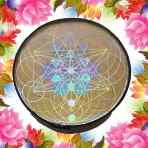 Pulse Field